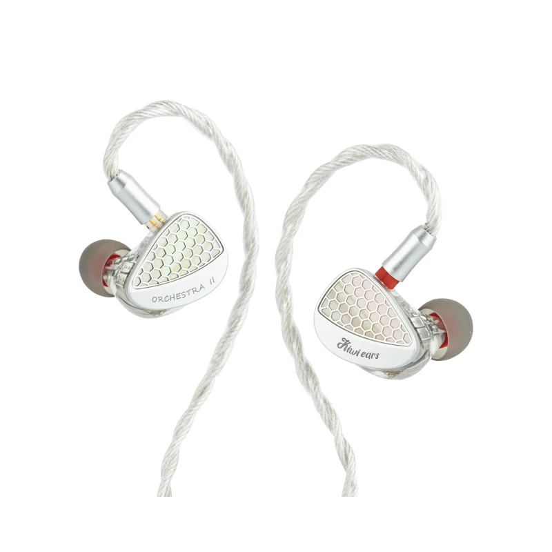 Kiwi Ears Orchestra II - Image 7
