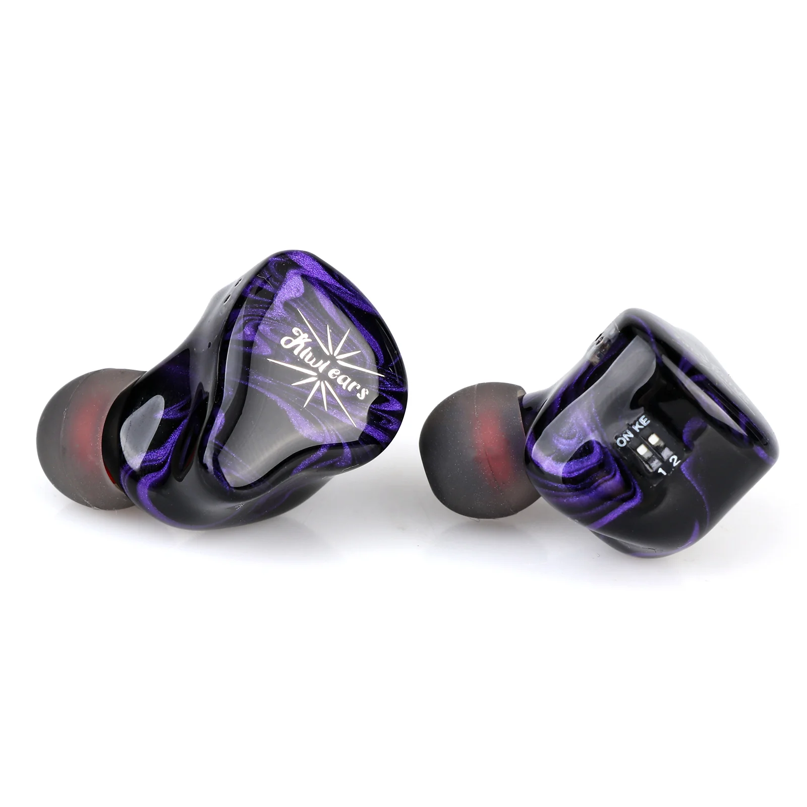 Kiwi Ears Quartet - Image 5