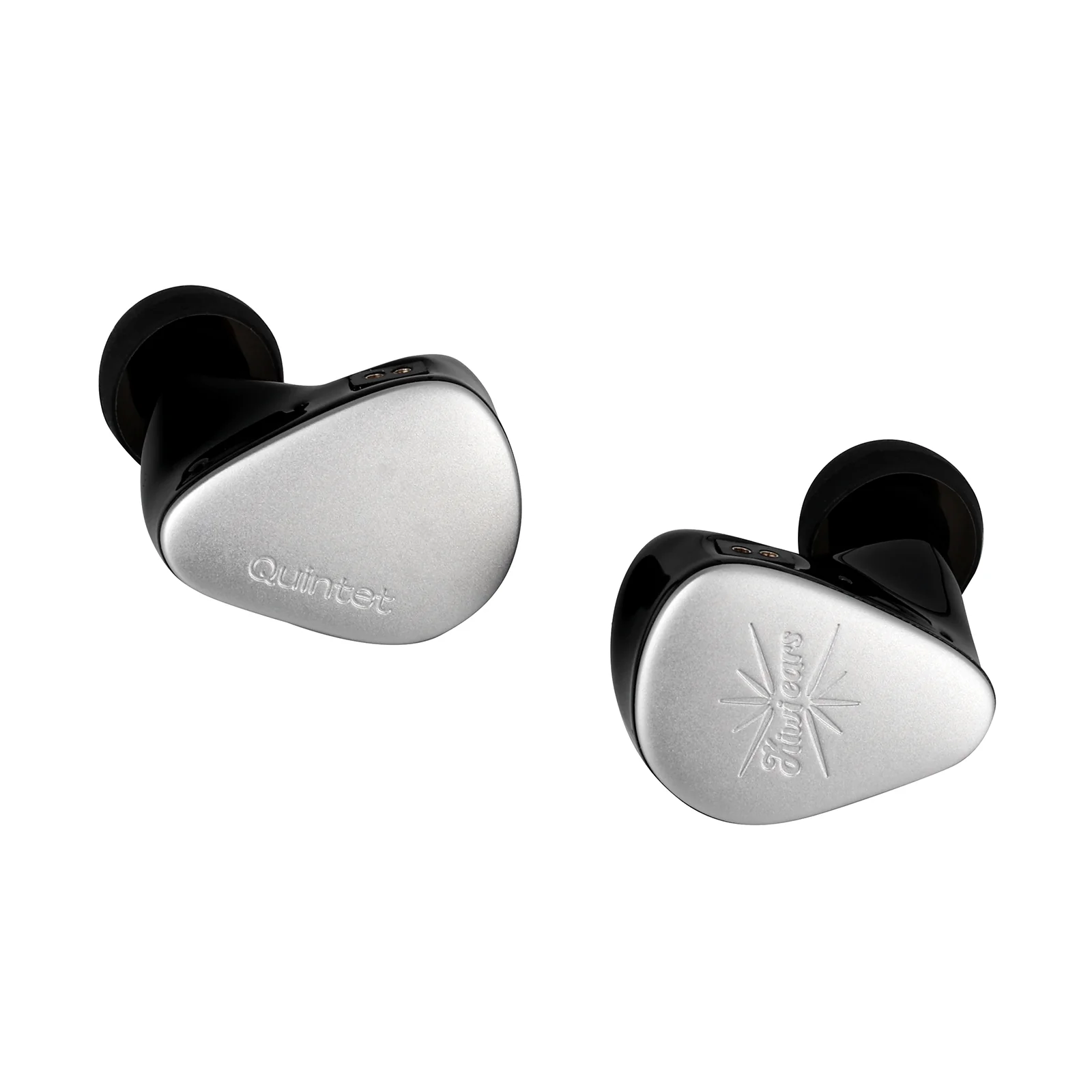 Kiwi Ears Quintet - Image 5