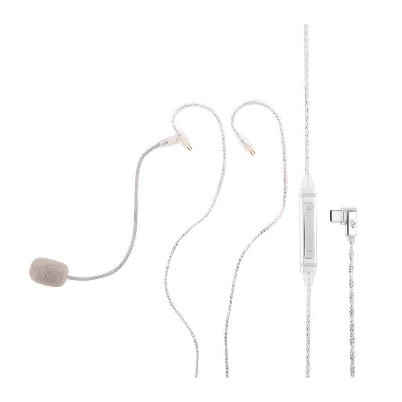 Kiwi Ears S-Link Type-C