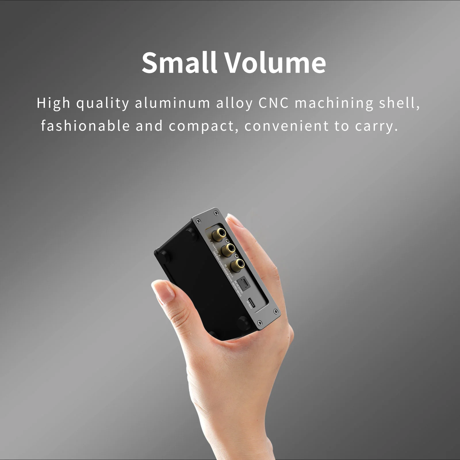SMSL DS100 - Image 16